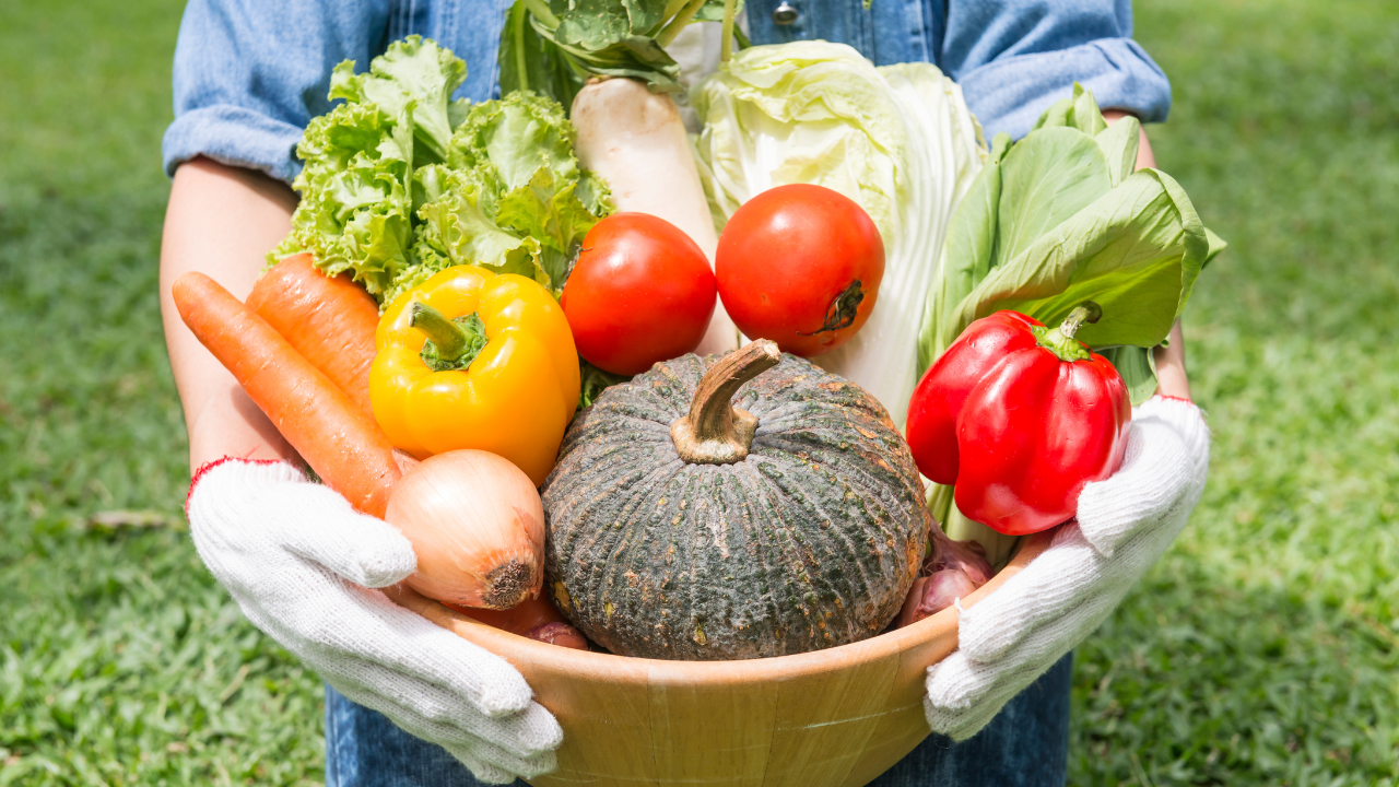 持続可能な農と食をイメージした写真